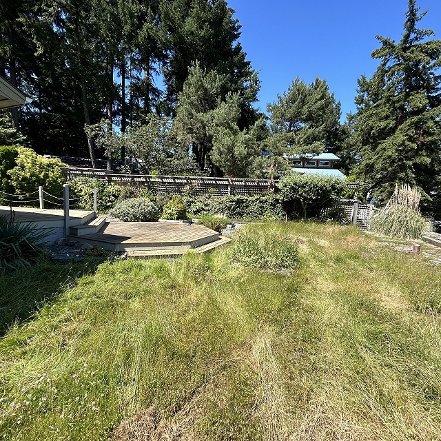 protection-island-landscaping-01