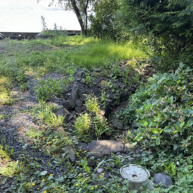 protection-island-landscaping-03