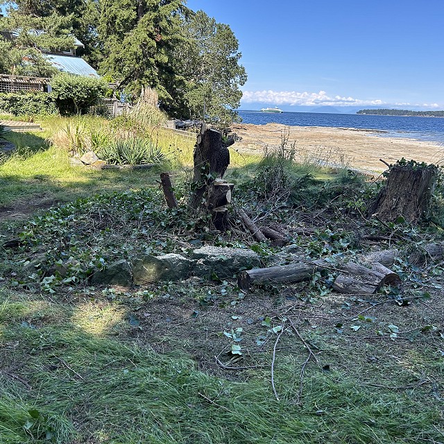 protection-island-landscaping-04