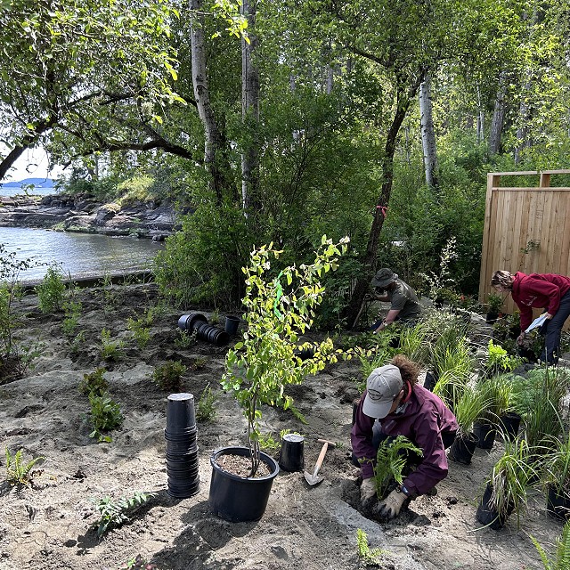 protection-island-landscaping-14