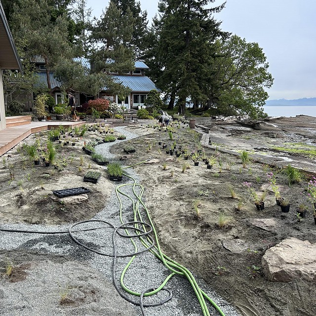 protection-island-landscaping-15