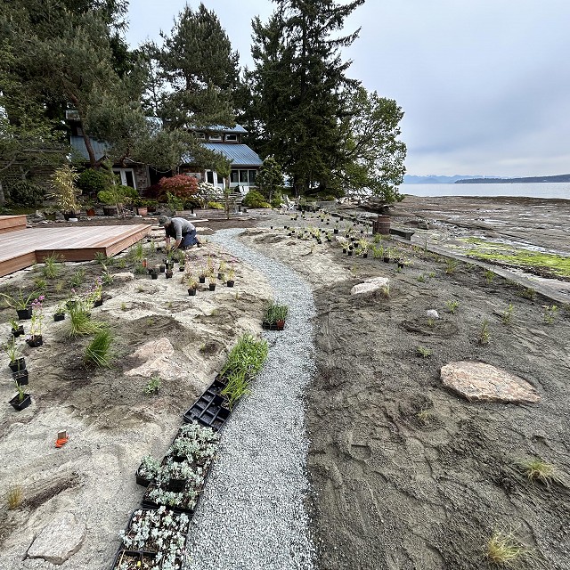 protection-island-landscaping-16