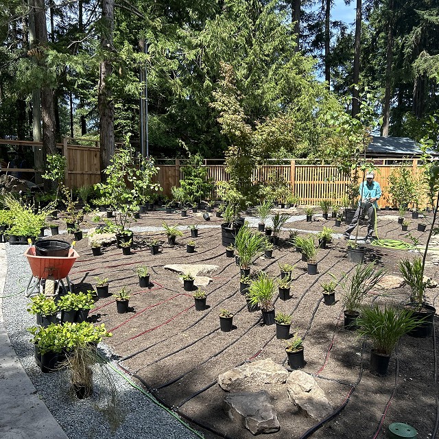 protection-island-landscaping-19