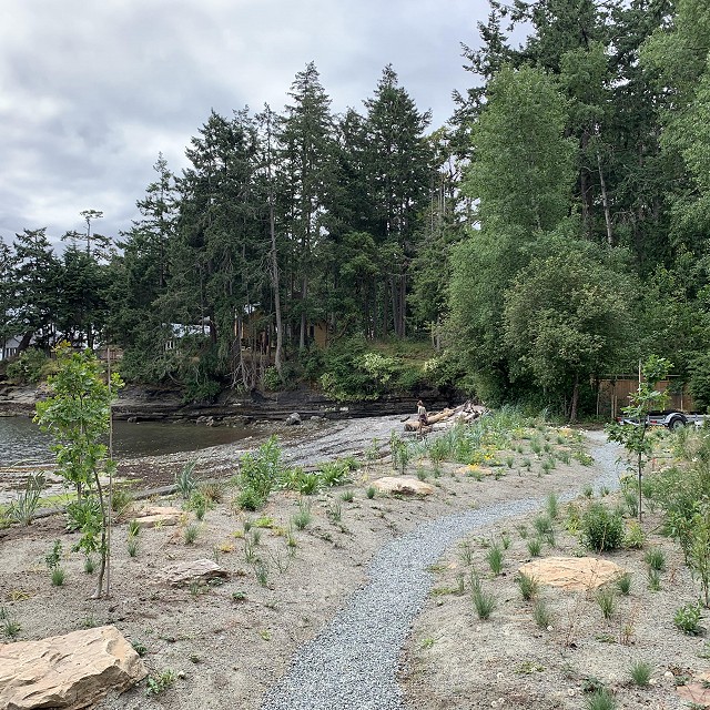 protection-island-landscaping-20