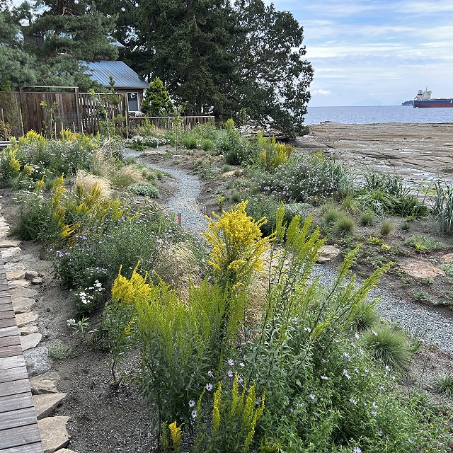 protection-island-landscaping-35