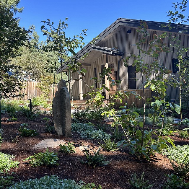 protection-island-landscaping-38