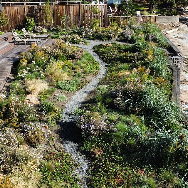 protection-island-landscaping-40