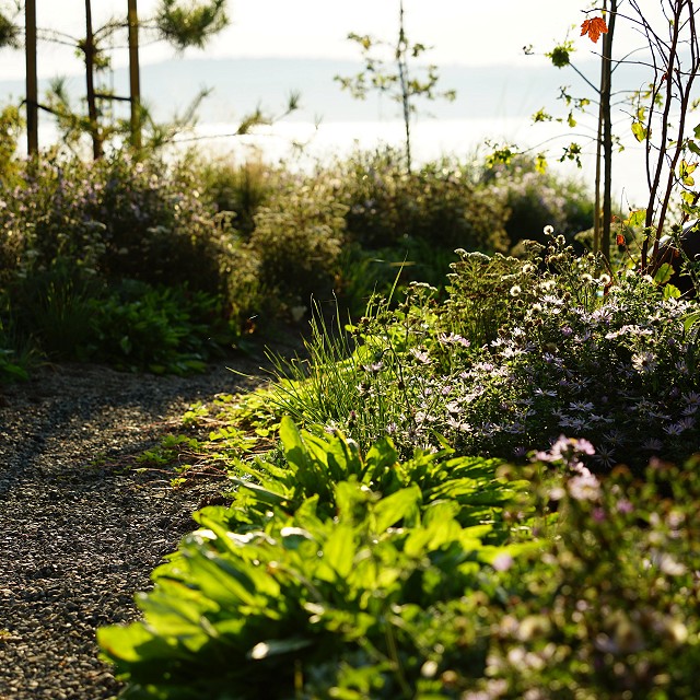 protection-island-landscaping-45