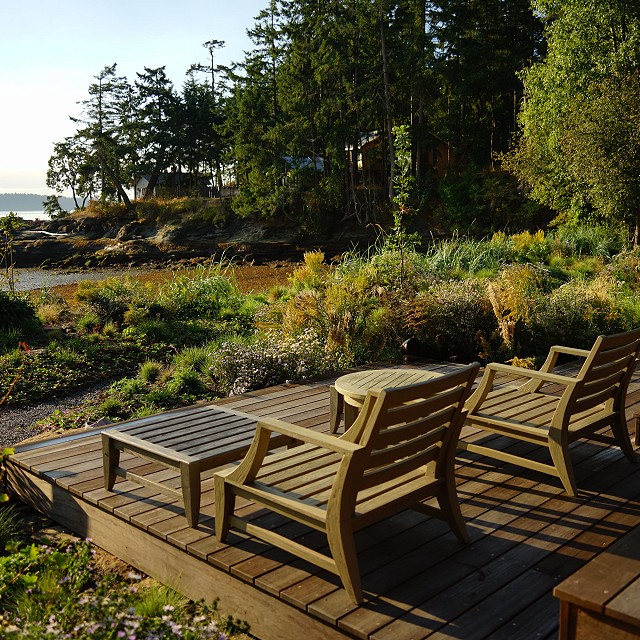 protection-island-landscaping-46