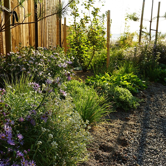 protection-island-landscaping-49