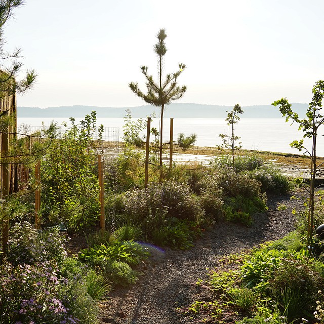 protection-island-landscaping-50