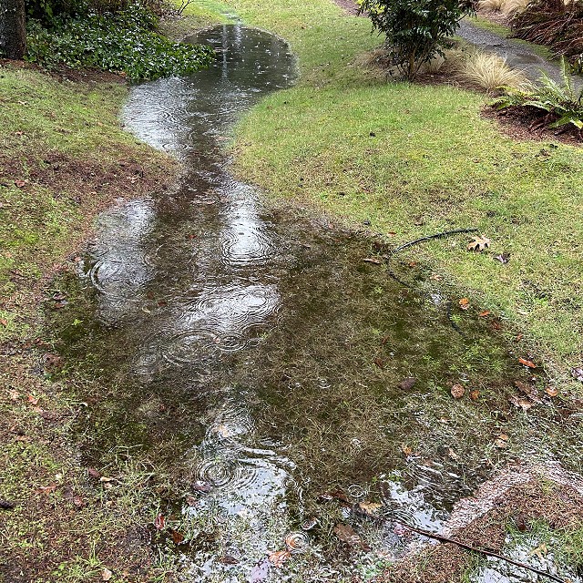 rdn-nanaimo-landscapers-04
