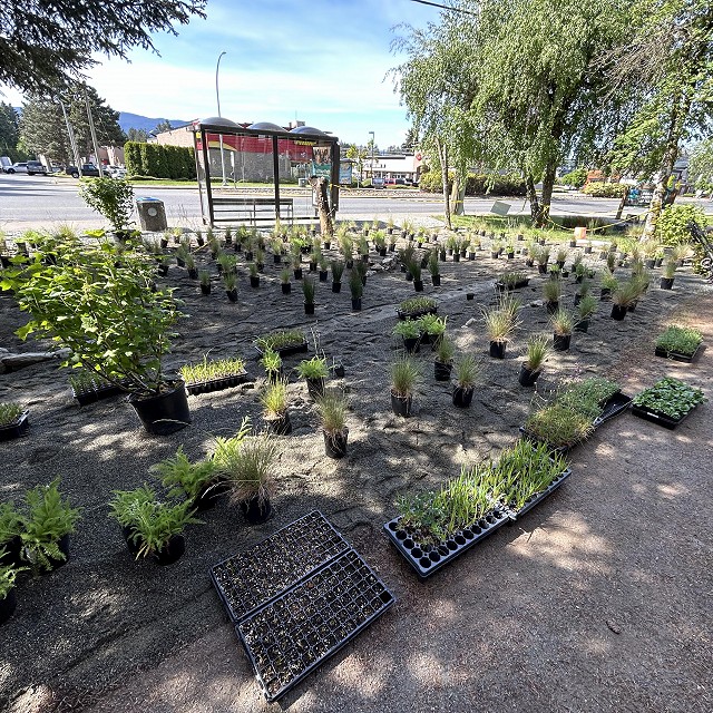rdn-nanaimo-landscapers-14