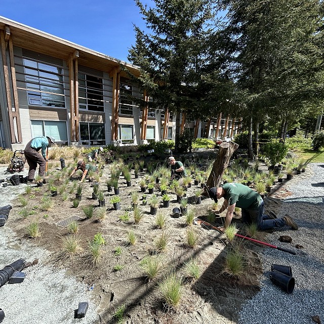 rdn-nanaimo-landscapers-15