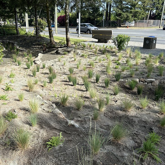 rdn-nanaimo-landscapers-16