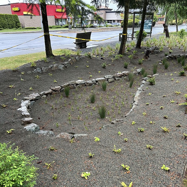 rdn-nanaimo-landscapers-17