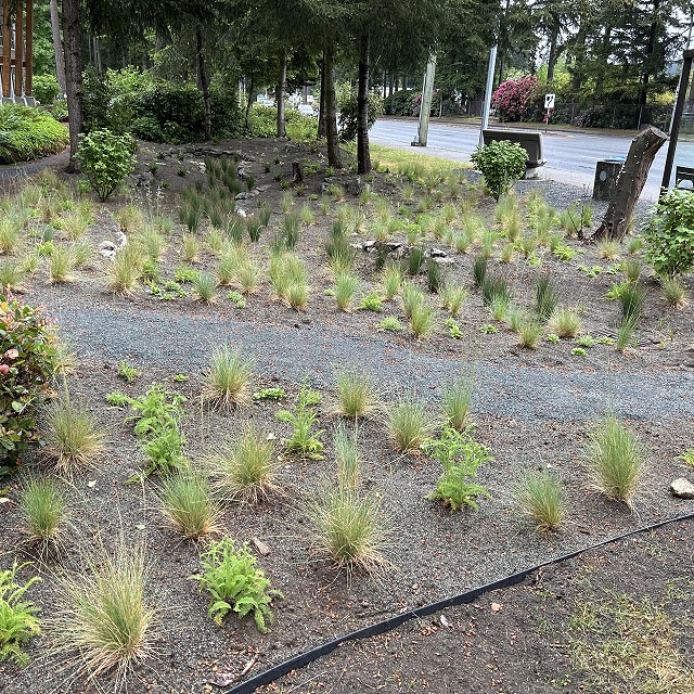 rdn-nanaimo-landscapers-18