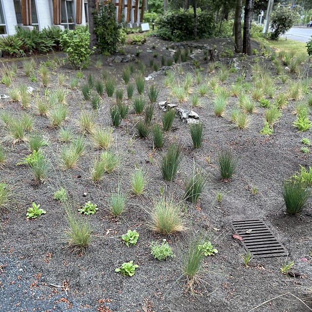 rdn-nanaimo-landscapers-19