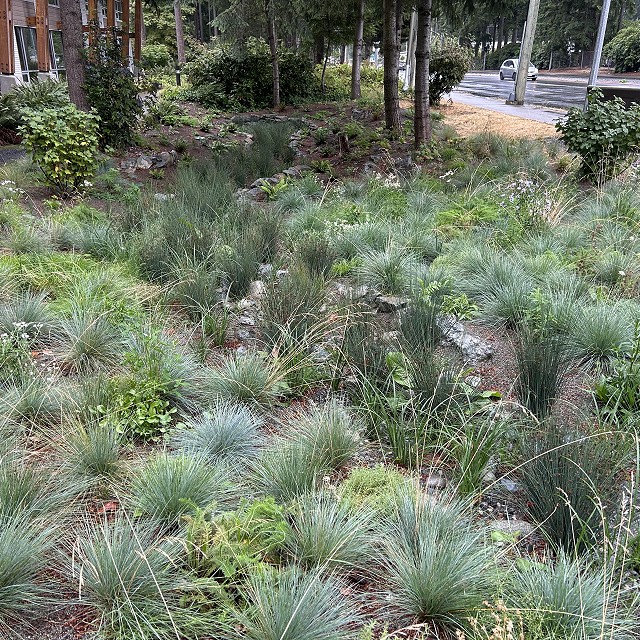 rdn-nanaimo-landscapers-20