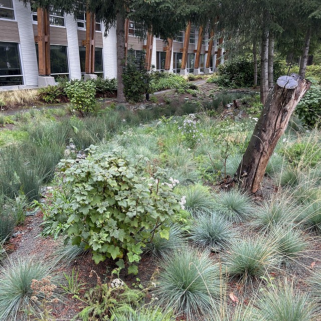 rdn-nanaimo-landscapers-21