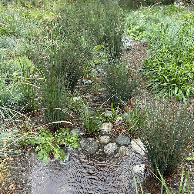 rdn-nanaimo-landscapers-22
