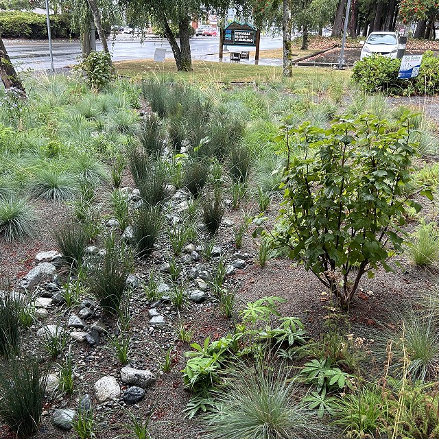 rdn-nanaimo-landscapers-23