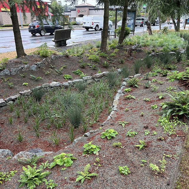 rdn-nanaimo-landscapers-24