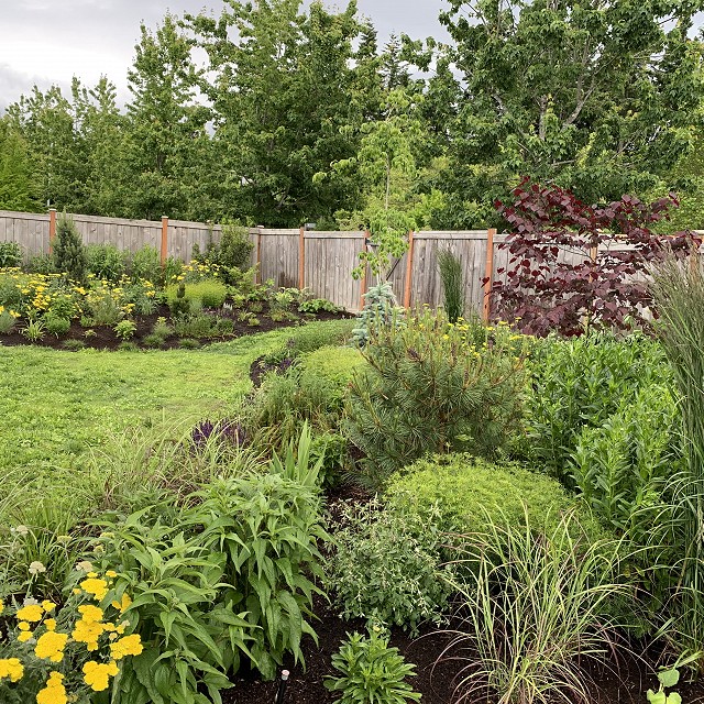 sandlewood-landscaping-01