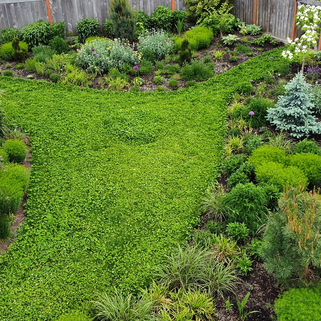 sandlewood-landscaping-03