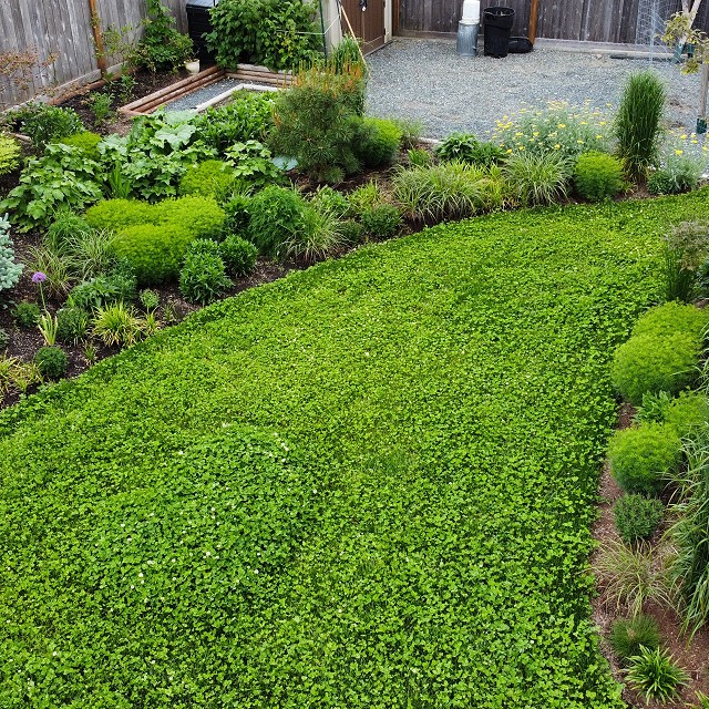 sandlewood-landscaping-06