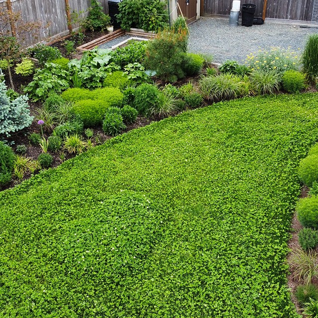 sandlewood-landscaping-07