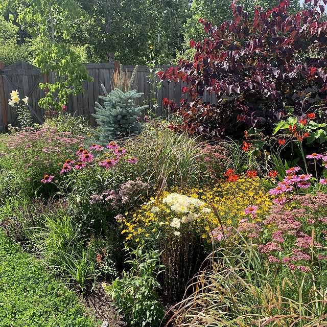 sandlewood-landscaping-11