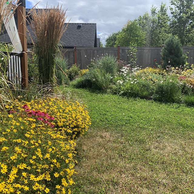sandlewood-landscaping-12