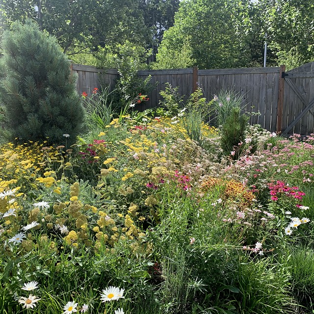 sandlewood-landscaping-16