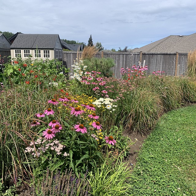 sandlewood-landscaping-19