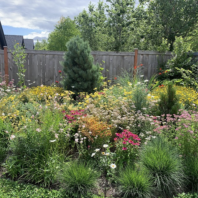 sandlewood-landscaping-21
