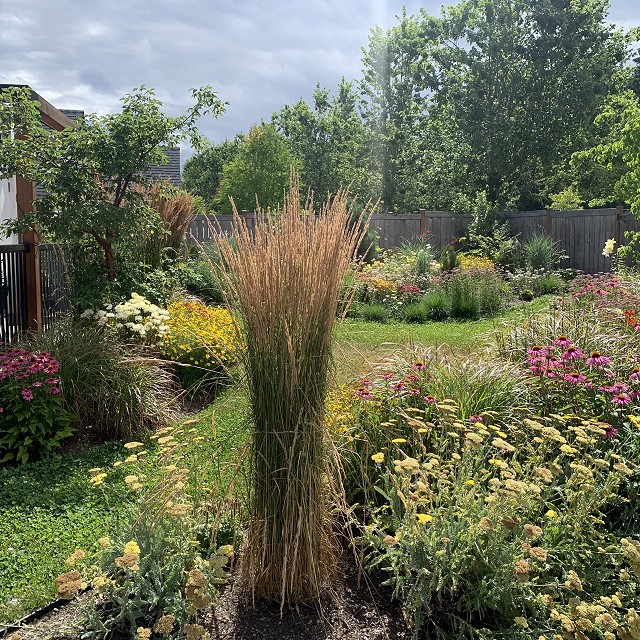 sandlewood-landscaping-25