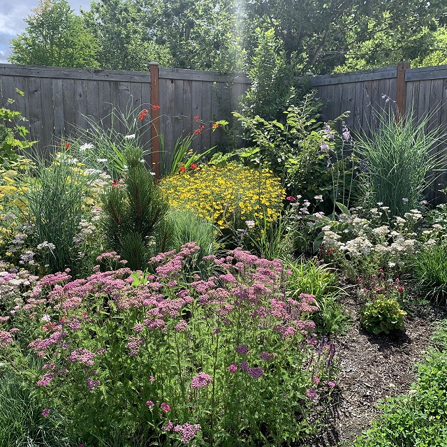 sandlewood-landscaping-29