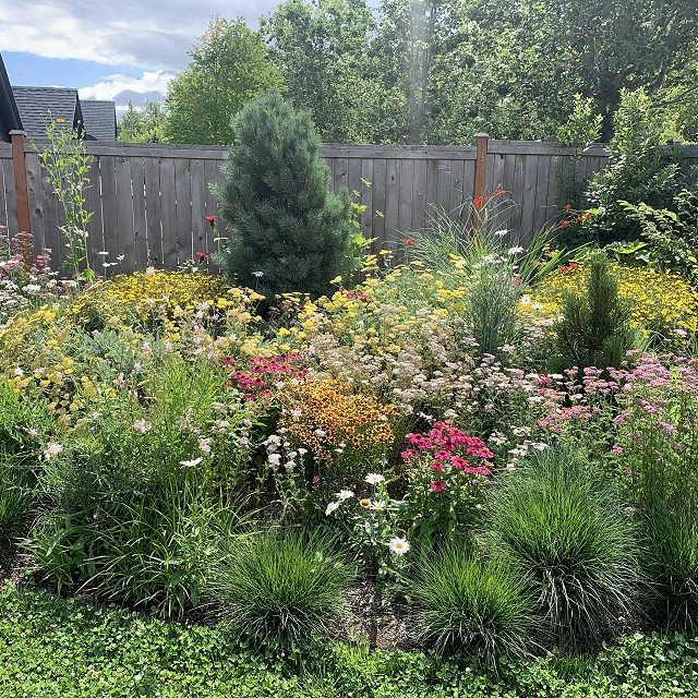 sandlewood-landscaping-36