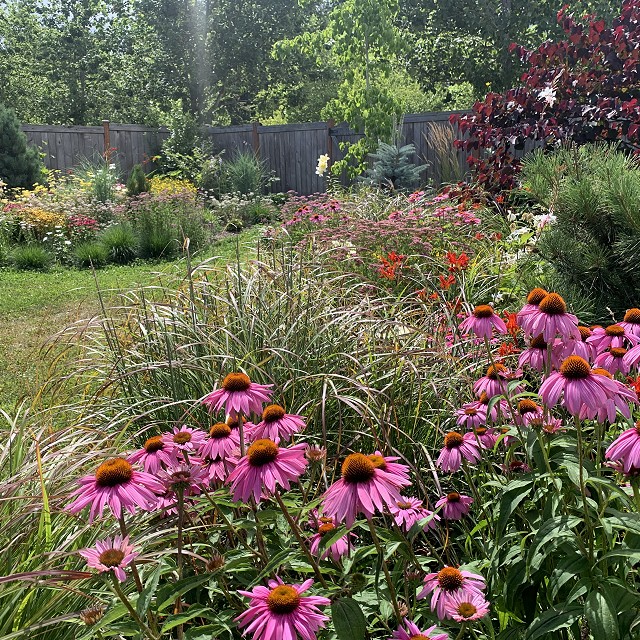 sandlewood-landscaping-46