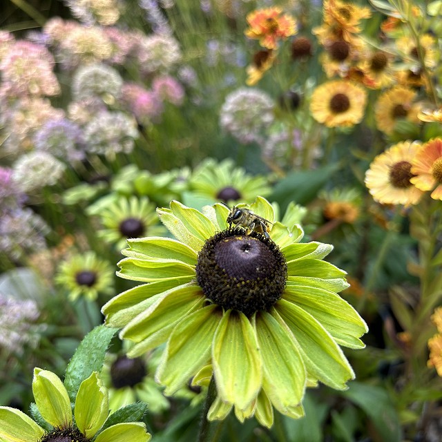 seaside-garden-nanaimo-15