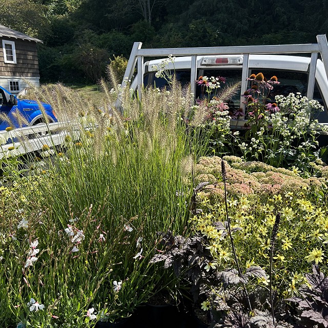 seaside-garden-nanaimo-16