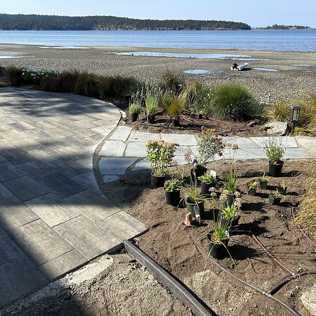 seaside-garden-nanaimo-19