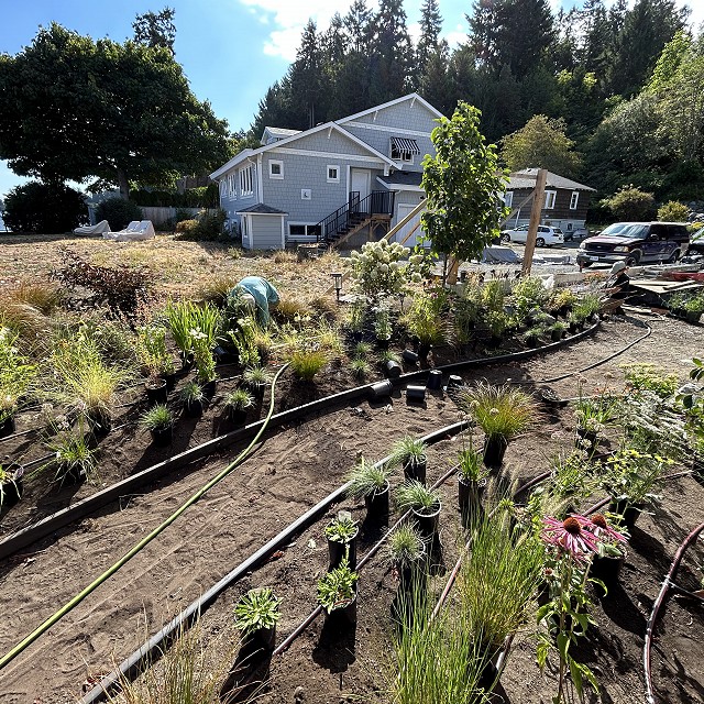 seaside-garden-nanaimo-21