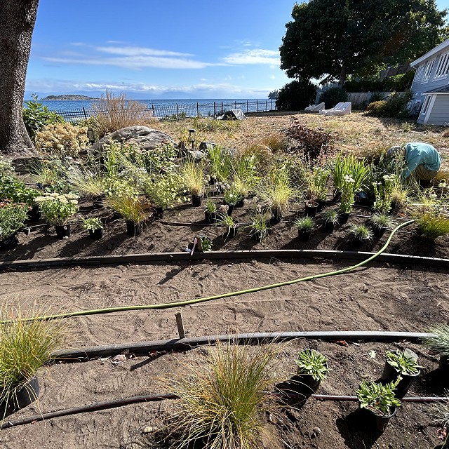 seaside-garden-nanaimo-22
