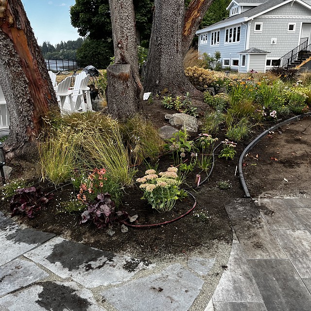 seaside-garden-nanaimo-26