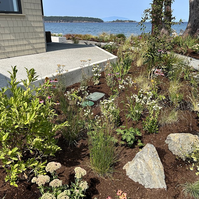 seaside-garden-nanaimo-32