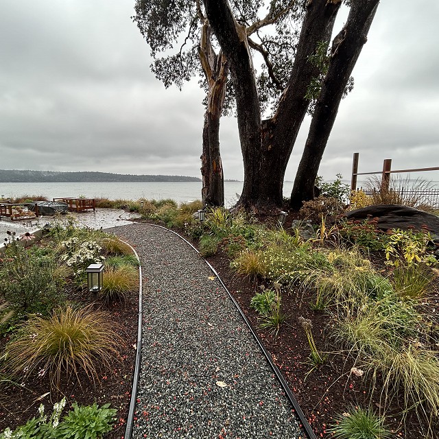 seaside-garden-nanaimo-45