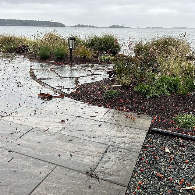 seaside-garden-nanaimo-46