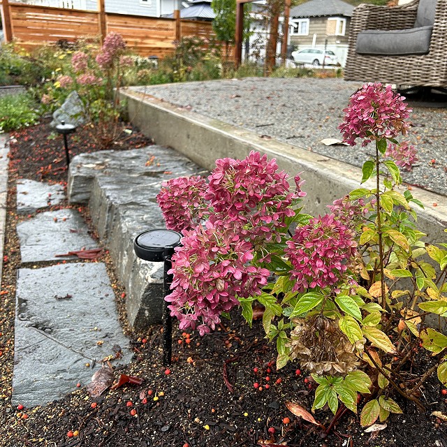 seaside-garden-nanaimo-50-2